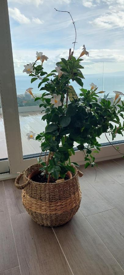 Appartement Drenova View à Rijeka Extérieur photo